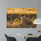 Female Cheetah Lying Grass Wall Decal