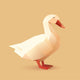 Duck Wall Decal