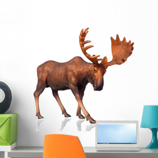 Figure Moose Wall Decal