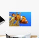 Nemo Wall Decal