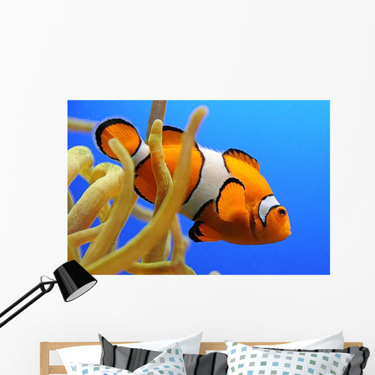 Nemo Wall Decal