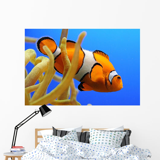 Nemo Wall Decal