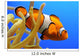 Nemo Wall Decal