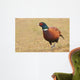 Pheasant Wall Decal