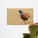 Pheasant Wall Decal