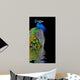 Peacock Dark Wall Decal