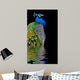 Peacock Dark Wall Decal