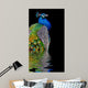 Peacock Dark Wall Decal