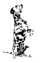 Dalmatian Wall Decal