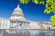 Us Capitol Wall Decal