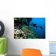 Diver Photo Video Seafan Wall Decal