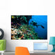 Diver Photo Video Seafan Wall Decal