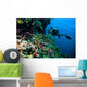 Diver Photo Video Seafan Wall Decal