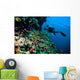 Diver Photo Video Seafan Wall Decal