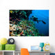 Diver Photo Video Seafan Wall Decal
