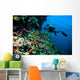 Diver Photo Video Seafan Wall Decal