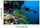 Diver Photo Video Seafan Wall Decal
