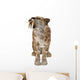 Big Cat Smilodon Wall Decal Design 5