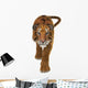 Tiger Wall Decal Design 2
