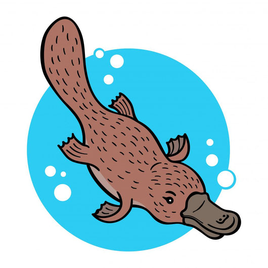 Cartoon Platypus Wall Decal
