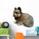 Ili Pika Wall Decal