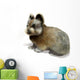 Ili Pika Wall Decal