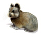 Ili Pika Wall Decal