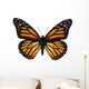 Monarch Butterfly Wall Decal