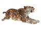 Big Cat Smilodon Wall Decal Design 3