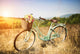 Vintage Bicycle with Basket Wall Decal