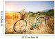 Vintage Bicycle with Basket Wall Decal