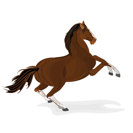 Brown Horse Vector Wall Decal