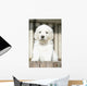 Chiot Golden Retriever Wall Decal