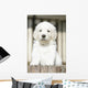 Chiot Golden Retriever Wall Decal