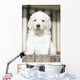 Chiot Golden Retriever Wall Decal
