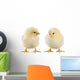 Little Chicken Wall Decal Design 1