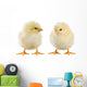 Little Chicken Wall Decal Design 1