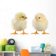 Little Chicken Wall Decal Design 1