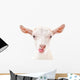 Portrait Goat Showing Tongue Wall Decal
