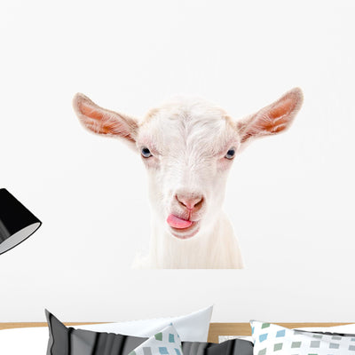 Portrait Goat Showing Tongue Wall Decal shown on a wall