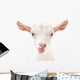 Portrait Goat Showing Tongue Wall Decal