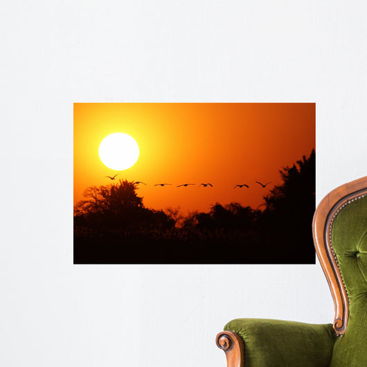 Ganse Fliegen Den Sonnenuntergang Wall Decal