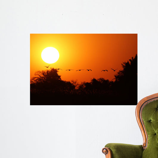 Ganse Fliegen Den Sonnenuntergang Wall Decal