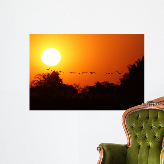 Ganse Fliegen Den Sonnenuntergang Wall Decal