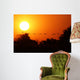 Ganse Fliegen Den Sonnenuntergang Wall Decal