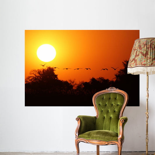 Ganse Fliegen Den Sonnenuntergang Wall Decal