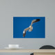 Lone Black Back Gull Wall Decal