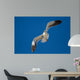 Lone Black Back Gull Wall Decal