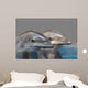 Dolphins Wall Decal Design 2