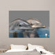 Dolphins Wall Decal Design 2